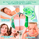 Parches Desintoxicantes Kinoki | Libera tu cuerpo de toxinas mientras duermes😴🍃