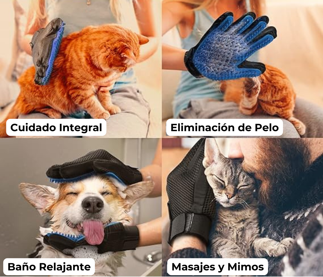 Guante Removedor de Pelos RADIANTPET | Olvídate de los Pelos sueltos de tu mascota en tu Hogar🏠🐾